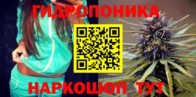 мяу мяу мука Кунгур