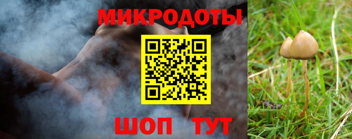 Псилоцибиновые грибы Cubensis Кирово-Чепецк